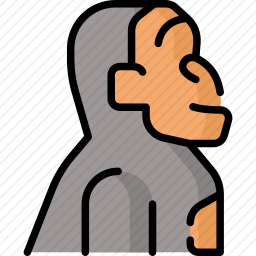 <em>猩猩</em>
