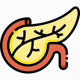 <em>内分泌系统</em>
