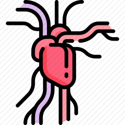血管