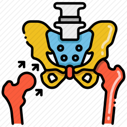 <em>臀部</em>