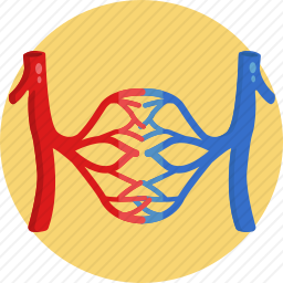 <em>神经系统</em>