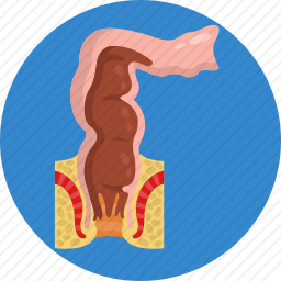 <em>黎加</em>