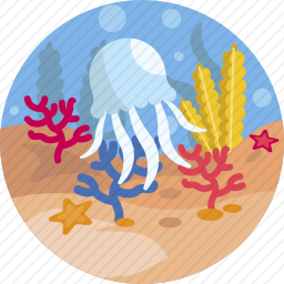 <em>水母</em>