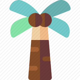 棕榈树