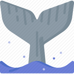 <em>鲸鱼</em>