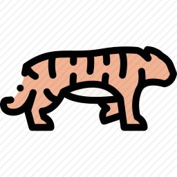 <em>老虎</em>