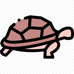 <em>乌龟</em>