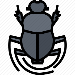 <em>甲虫</em>