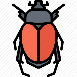 <em>甲虫</em>