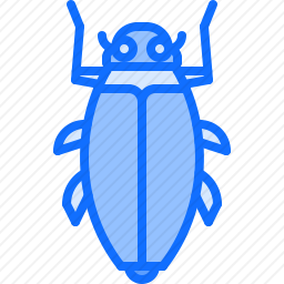 甲虫