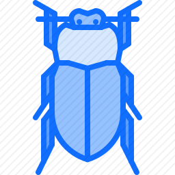 <em>甲虫</em>