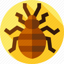 <em>臭虫</em>