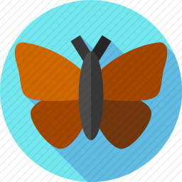 <em>蝴蝶</em>