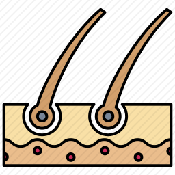 <em>脱发</em>