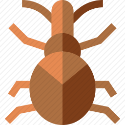象甲