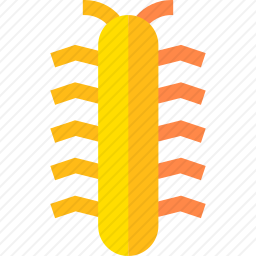 蜈蚣