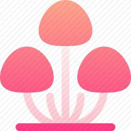 真菌