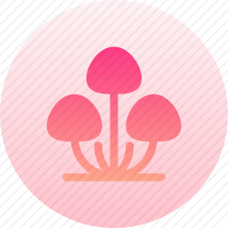真菌