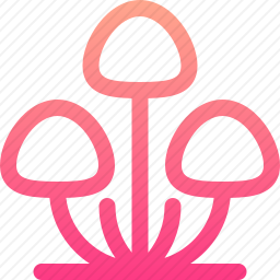 真菌
