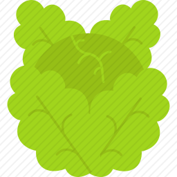 白菜