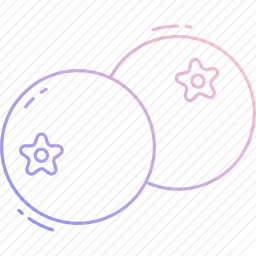 <em>蓝莓</em>