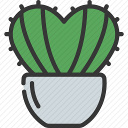 <em>仙人掌</em>