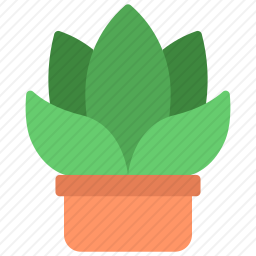 盆栽植物