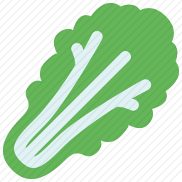 生菜