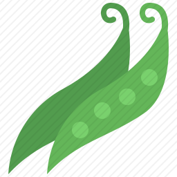 豌豆