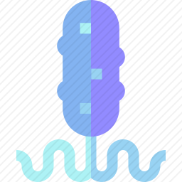 细菌
