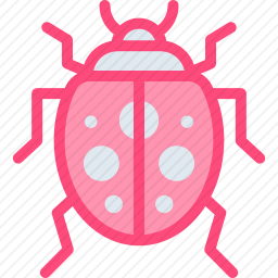 <em>瓢虫</em>