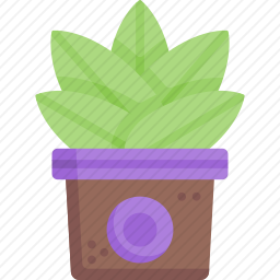 <em>盆栽植物</em>