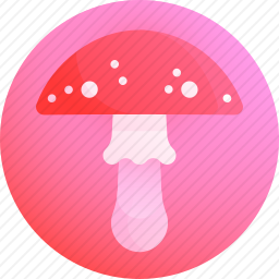 蘑菇