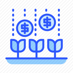 增长