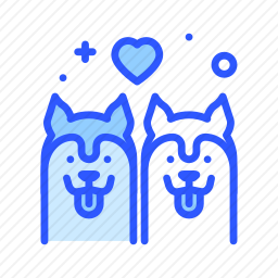 <em>宠物</em>