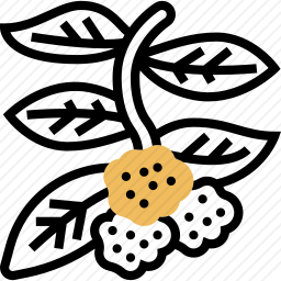 <em>草莓</em>