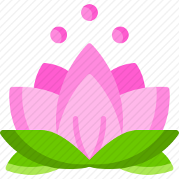 <em>莲花</em>