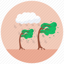 雨林