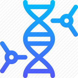 DNA