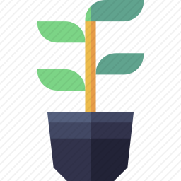 <em>植物</em>