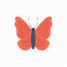 <em>蝴蝶</em>