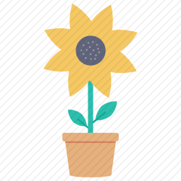 花