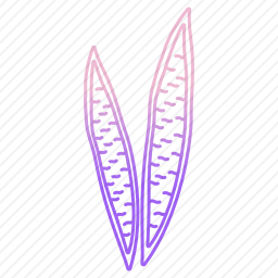 蛇类<em>植物</em>