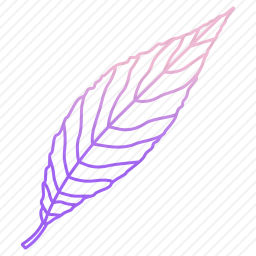 柳