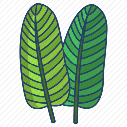 <em>天堂鸟</em>