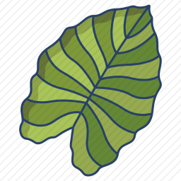 <em>象</em><em>耳</em>