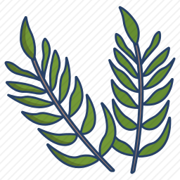 <em>热带</em>