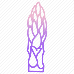 芦笋