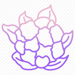 菜花