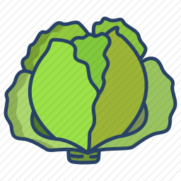 <em>白菜</em>